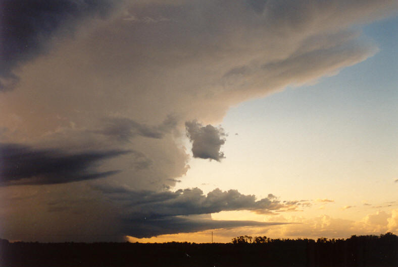 wallcloud thunderstorm_wall_cloud : Coraki, NSW   22 March 2003