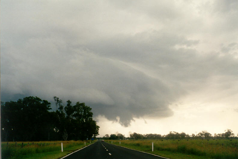 cumulonimbus thunderstorm_base : E of Casino, NSW   23 March 2003