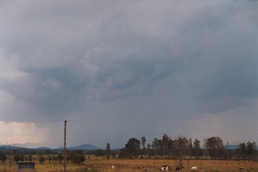 cumulonimbus thunderstorm_base : Taree, NSW   30 March 2003