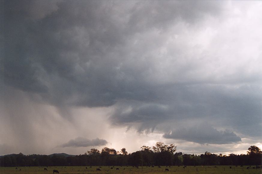 cumulonimbus thunderstorm_base : Warrell Creek, NSW   30 March 2003