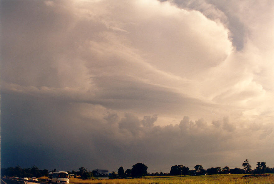 cumulonimbus supercell_thunderstorm : Woodburn, NSW   30 March 2003