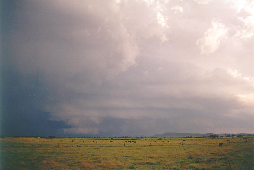 shelfcloud shelf_cloud : Woodburn, NSW   30 March 2003