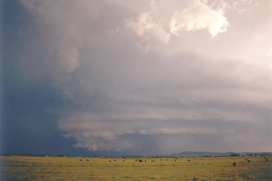 shelfcloud shelf_cloud : Woodburn, NSW   30 March 2003