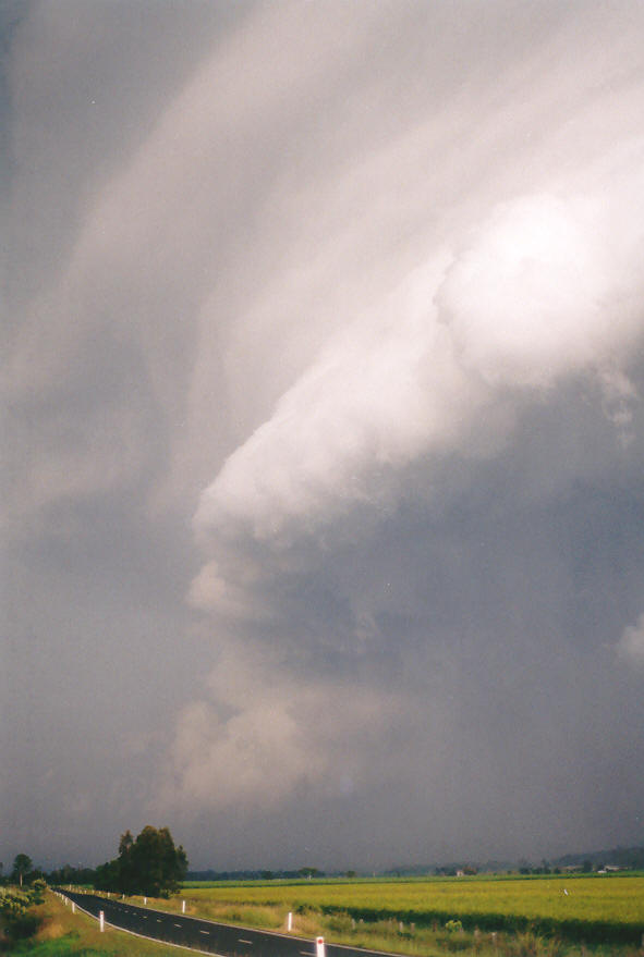 cumulonimbus thunderstorm_base : near Coraki, NSW   30 March 2003