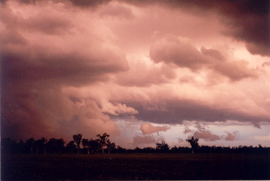 cumulonimbus thunderstorm_base : E of Casino, NSW   30 March 2003