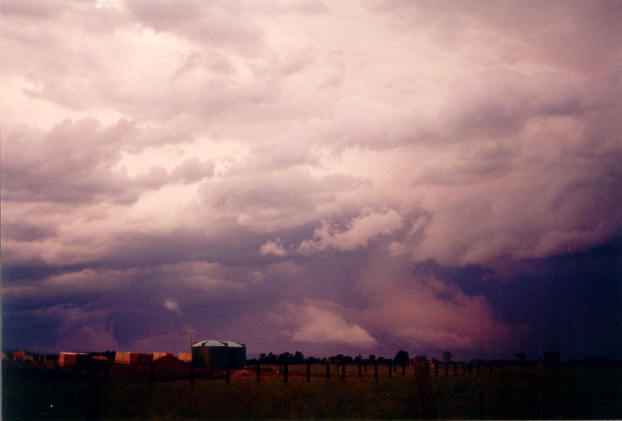 cumulonimbus thunderstorm_base : E of Casino, NSW   30 March 2003