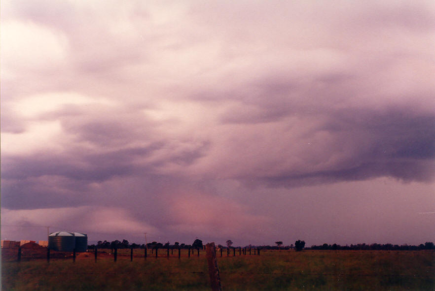 cumulonimbus thunderstorm_base : E of Casino, NSW   30 March 2003