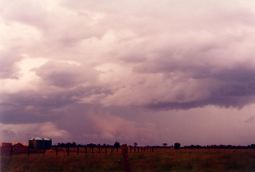 cumulonimbus thunderstorm_base : E of Casino, NSW   30 March 2003