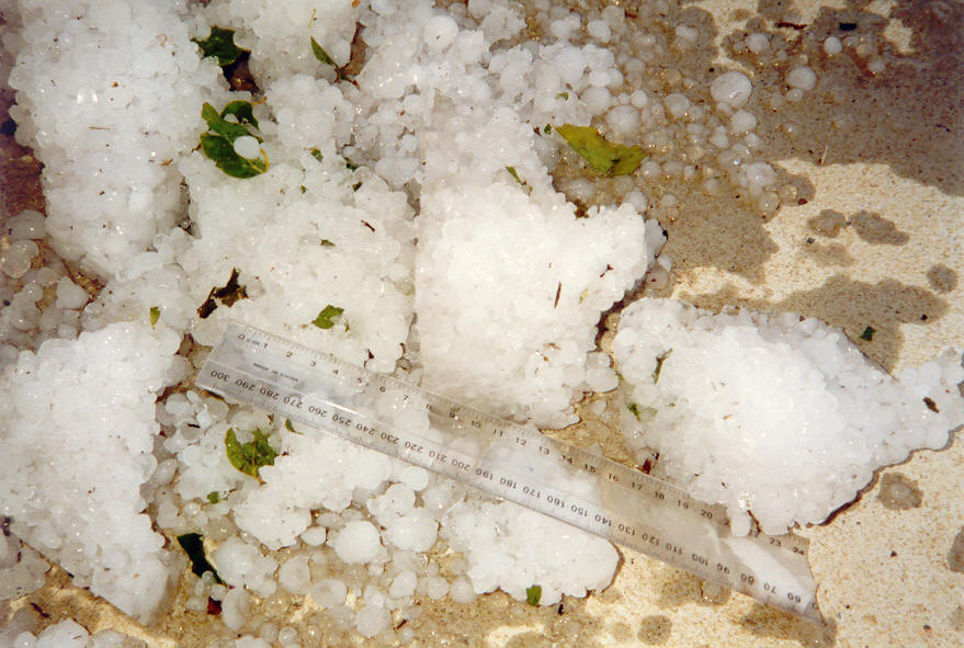 hailstones hail_stones : McLeans Ridges, NSW   31 March 2003
