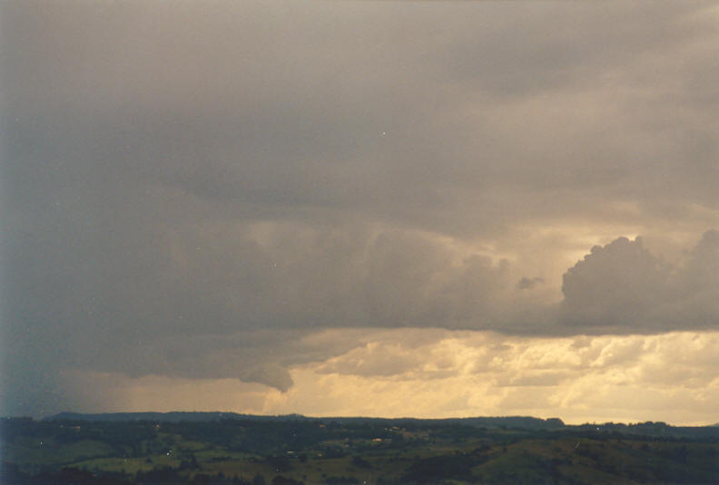 cumulonimbus thunderstorm_base : McLeans Ridges, NSW   3 April 2003