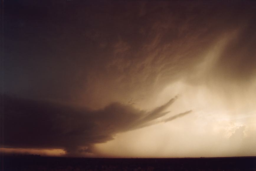 wallcloud thunderstorm_wall_cloud : Littlefield, Texas, USA   3 June 2003