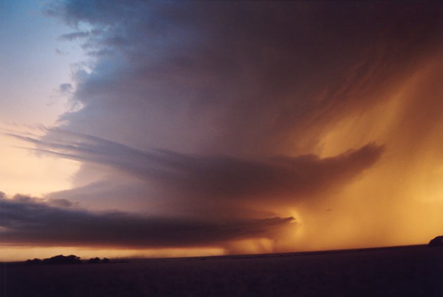 sunset sunset_pictures : near Levelland, Texas, USA   3 June 2003