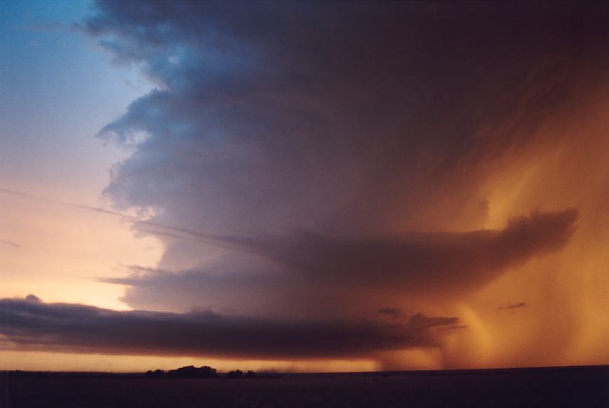 favourites jimmy_deguara : near Levelland, Texas, USA   3 June 2003