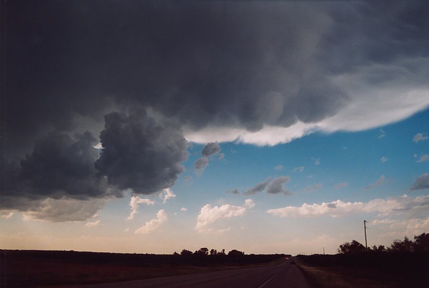 anvil thunderstorm_anvils : near Old Glory, Texas, USA   11 June 2003
