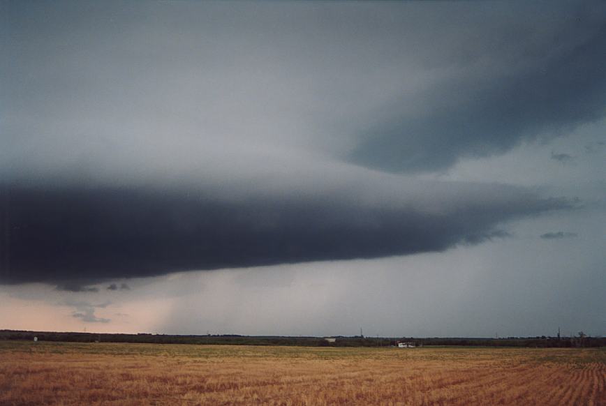 cumulonimbus thunderstorm_base : near Olney, Texas, USA   12 June 2003