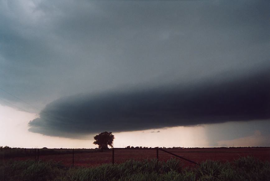 cumulonimbus supercell_thunderstorm : near Olney, Texas, USA   12 June 2003