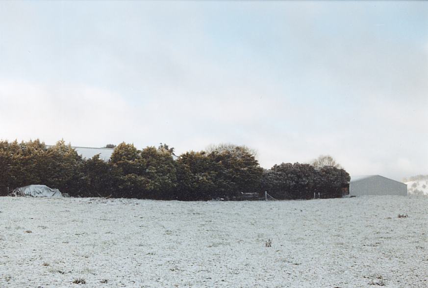 snow snow_pictures : Oberon, NSW   26 July 2003