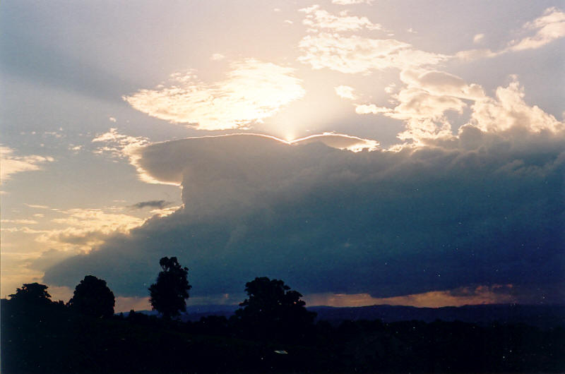 pileus pileus_cap_cloud : McLeans Ridges, NSW   8 August 2003