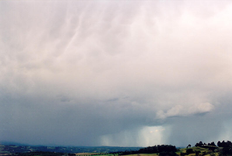 mammatus mammatus_cloud : McLeans Ridges, NSW   31 August 2003