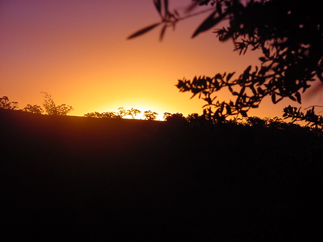 contributions received : Golden Grove, SA<BR>Photo by Cliff Beale   1 September 2003