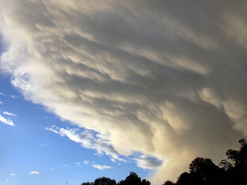 contributions received : Buxton, NSW<BR>Photo by Petar Belobrajdic   19 September 2003