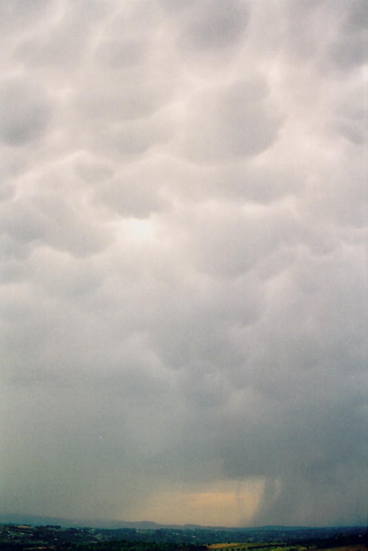 raincascade precipitation_cascade : McLeans Ridges, NSW   26 September 2003
