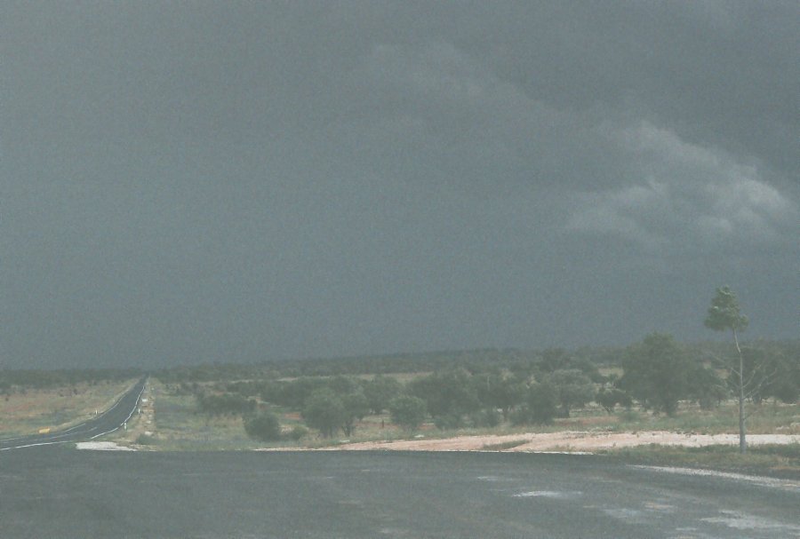 contributions received : W of Cobar, NSW<BR>Photo by Brett Vilnis   1 October 2003