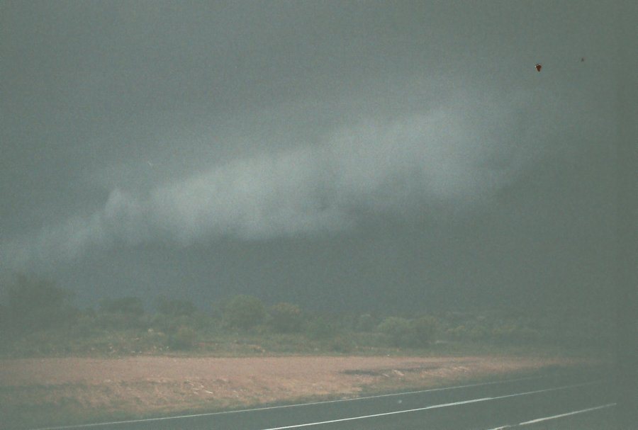 contributions received : W of Cobar, NSW<BR>Photo by Brett Vilnis   1 October 2003