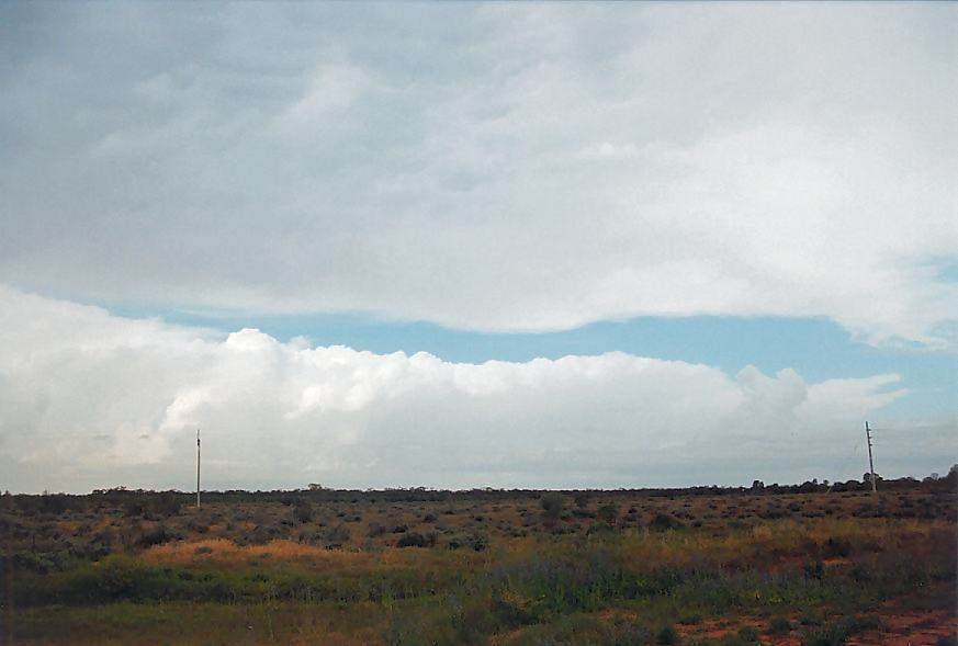 anvil thunderstorm_anvils : Wilcannia, NSW   1 October 2003