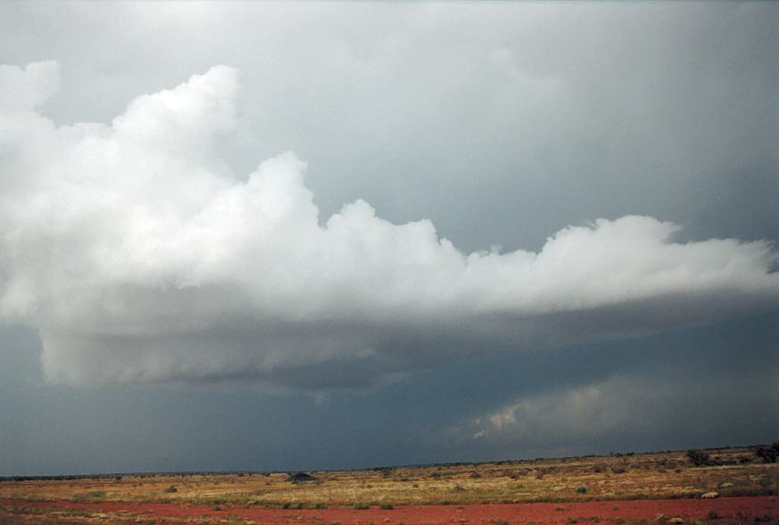 cumulus congestus : Wilcannia, NSW   1 October 2003