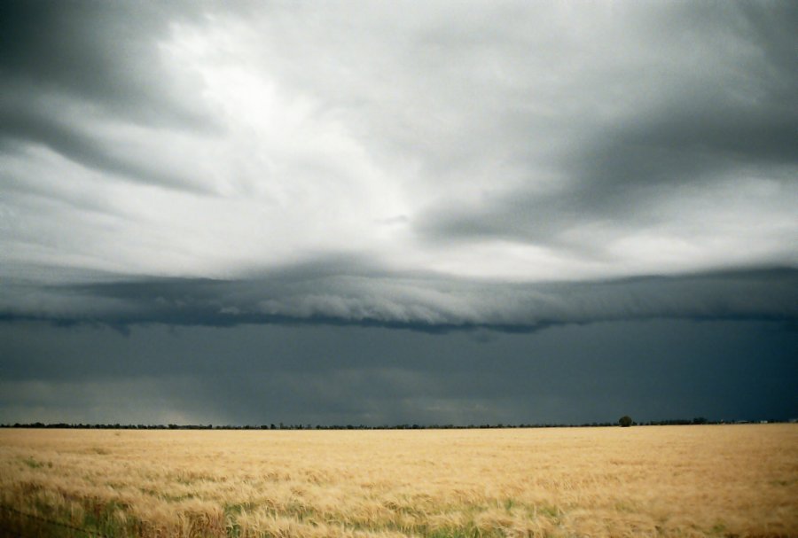 contributions received : Moree, NSW<BR>Photo by Brett Vilnis   2 October 2003