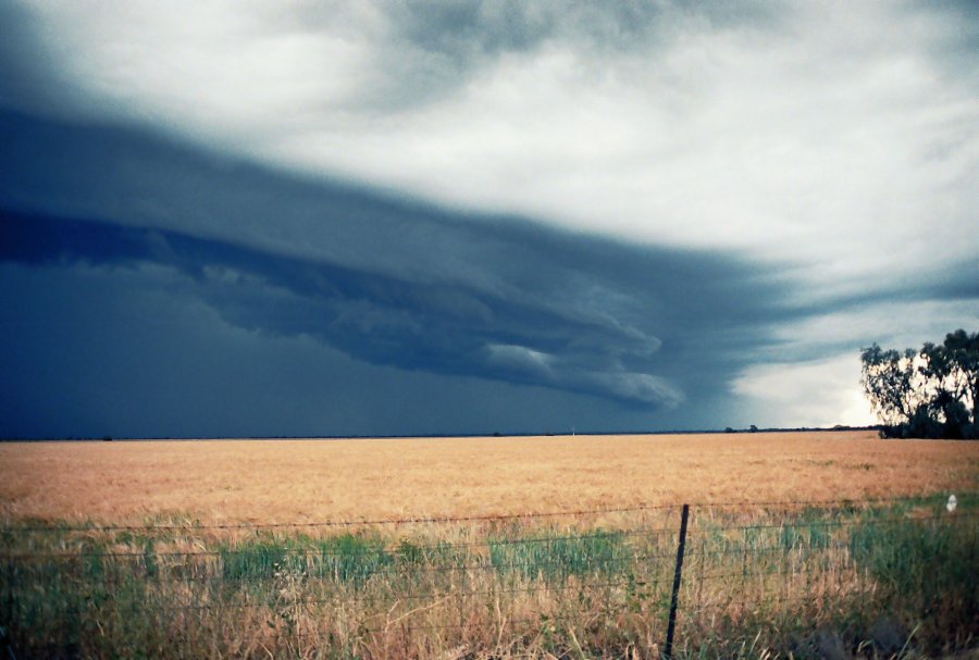 contributions received : Moree, NSW<BR>Photo by Brett Vilnis   2 October 2003