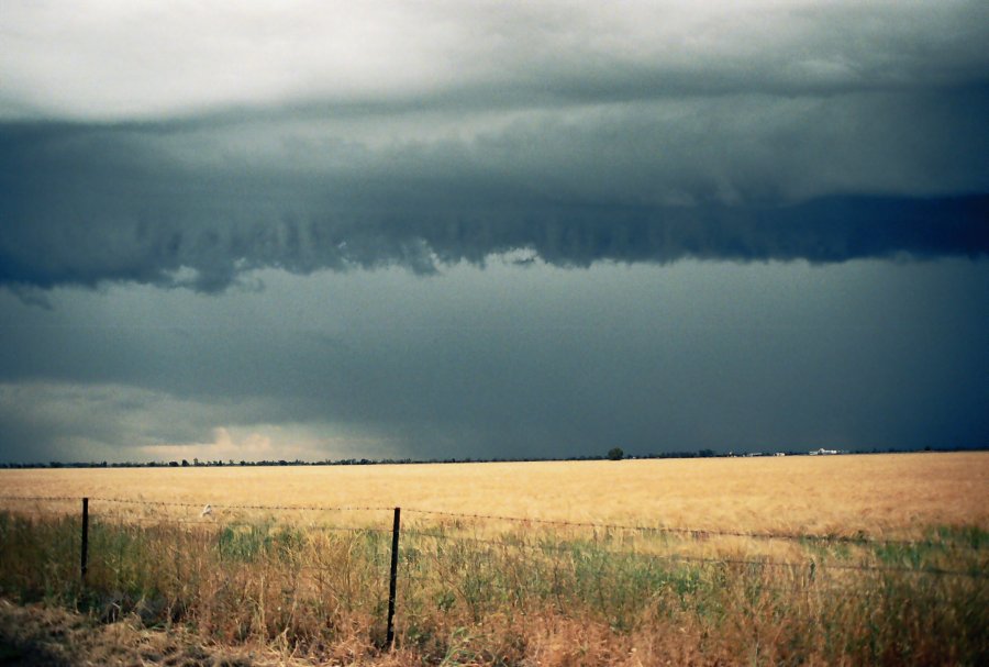 contributions received : Moree, NSW<BR>Photo by Brett Vilnis   2 October 2003