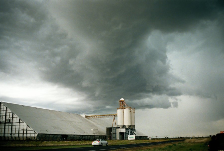 contributions received : Moree, NSW<BR>Photo by Brett Vilnis   2 October 2003