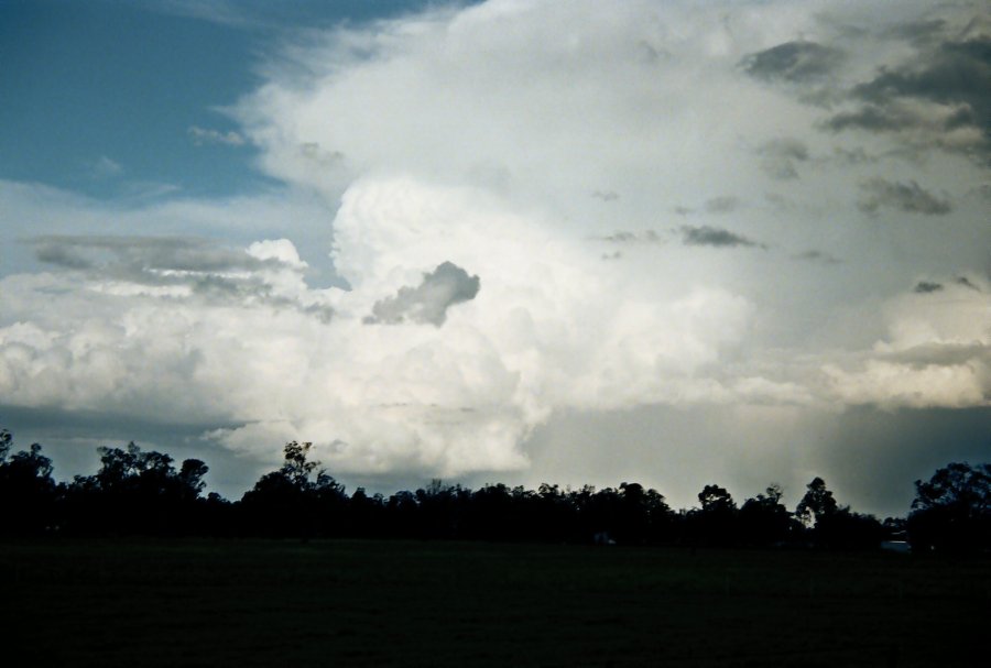 contributions received : N of Gunnedah, NSW<BR>Photo by Brett Vilnis   2 October 2003