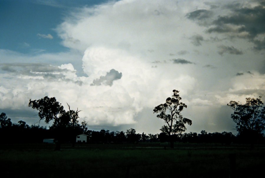 contributions received : N of Gunnedah, NSW<BR>Photo by Brett Vilnis   2 October 2003