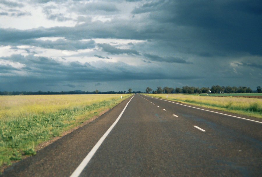 contributions received : S of Mullaley, NSW<BR>Photo by Brett Vilnis   2 October 2003