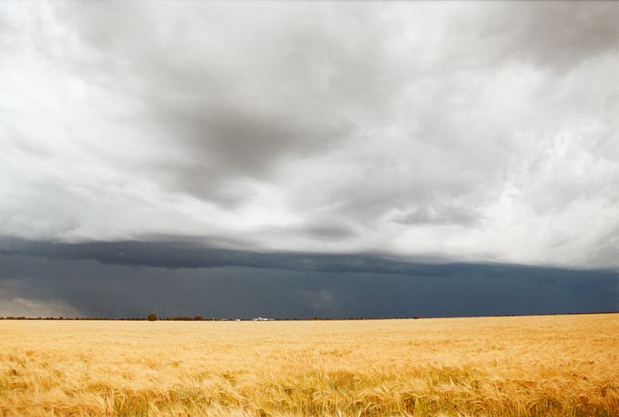 shelfcloud shelf_cloud : Moree, NSW   2 October 2003