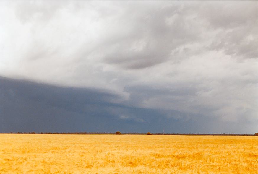 cumulonimbus thunderstorm_base : Moree, NSW   2 October 2003