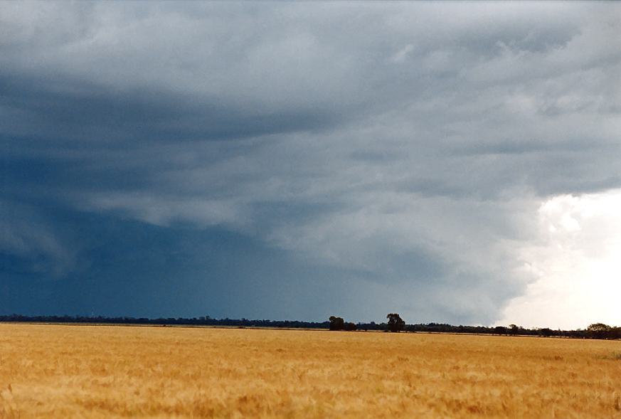 cumulonimbus thunderstorm_base : Moree, NSW   2 October 2003