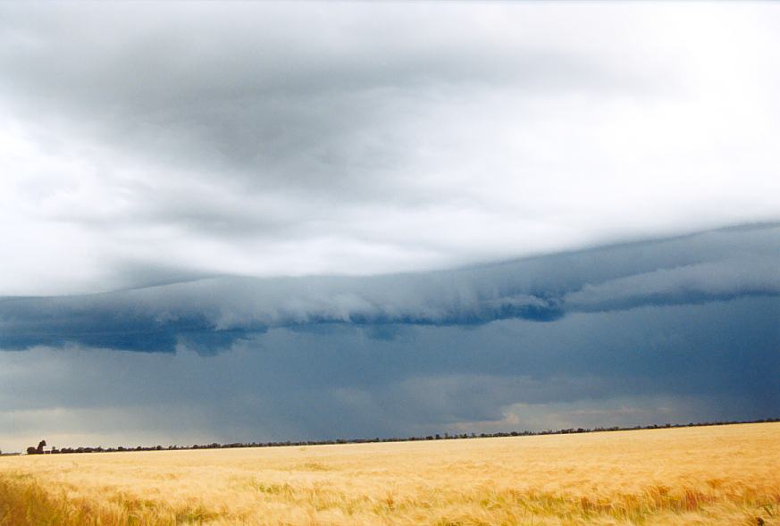 shelfcloud shelf_cloud : Moree, NSW   2 October 2003