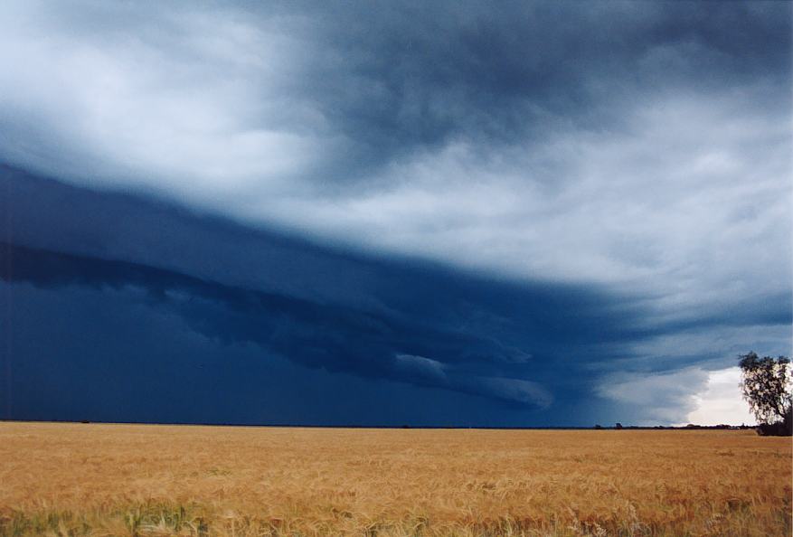 shelfcloud shelf_cloud : Moree, NSW   2 October 2003