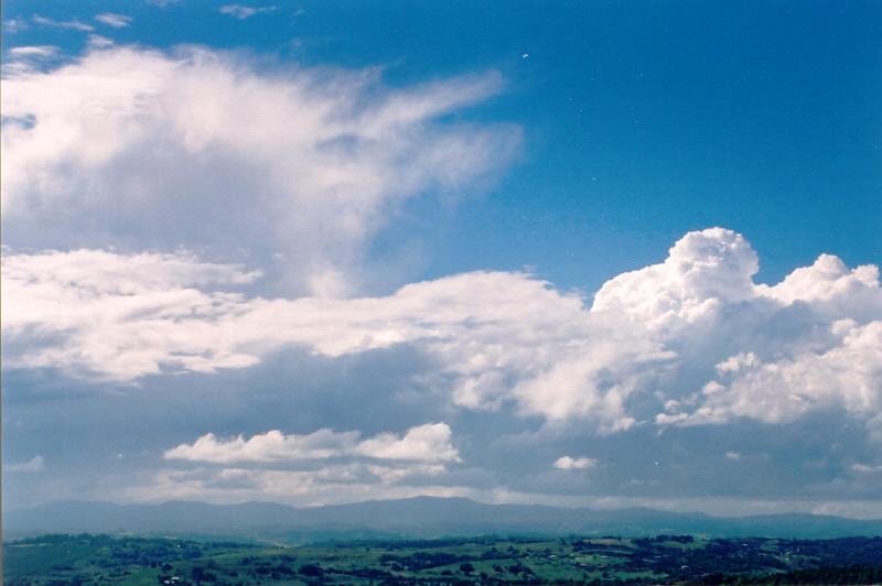 cumulus congestus : McLeans Ridges, NSW   3 October 2003