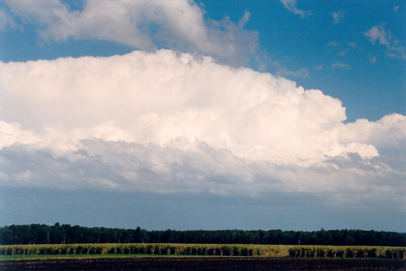 thunderstorm cumulonimbus_incus : Woodburn, NSW   10 October 2003