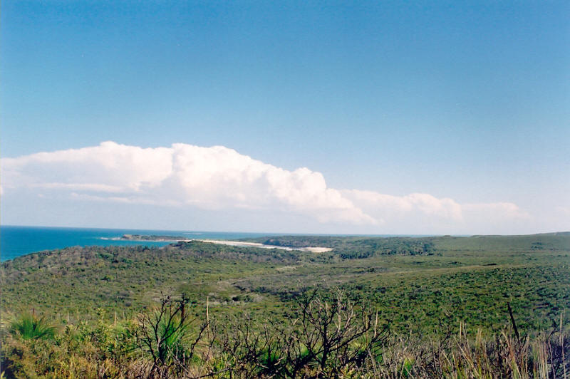 thunderstorm cumulonimbus_calvus : Evans Head, NSW   10 October 2003