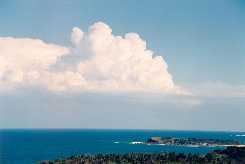 thunderstorm cumulonimbus_calvus : Evans Head, NSW   10 October 2003