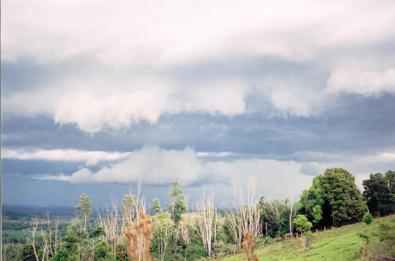 cumulonimbus thunderstorm_base : Meerschaum, NSW   16 October 2003