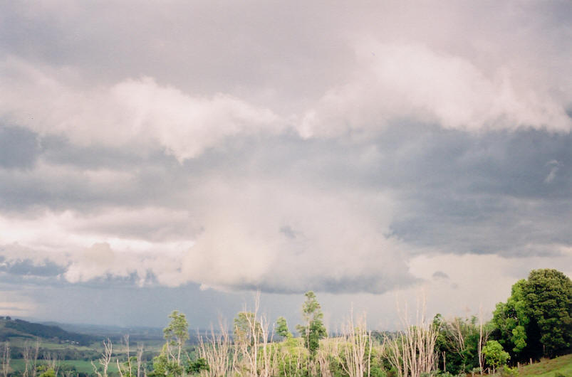 cumulonimbus thunderstorm_base : Meerschaum, NSW   16 October 2003