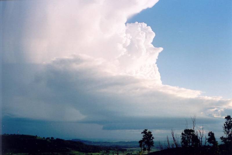 updraft thunderstorm_updrafts : Meerschaum, NSW   20 October 2003