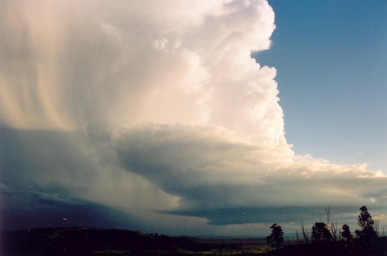 updraft thunderstorm_updrafts : Meerschaum, NSW   20 October 2003